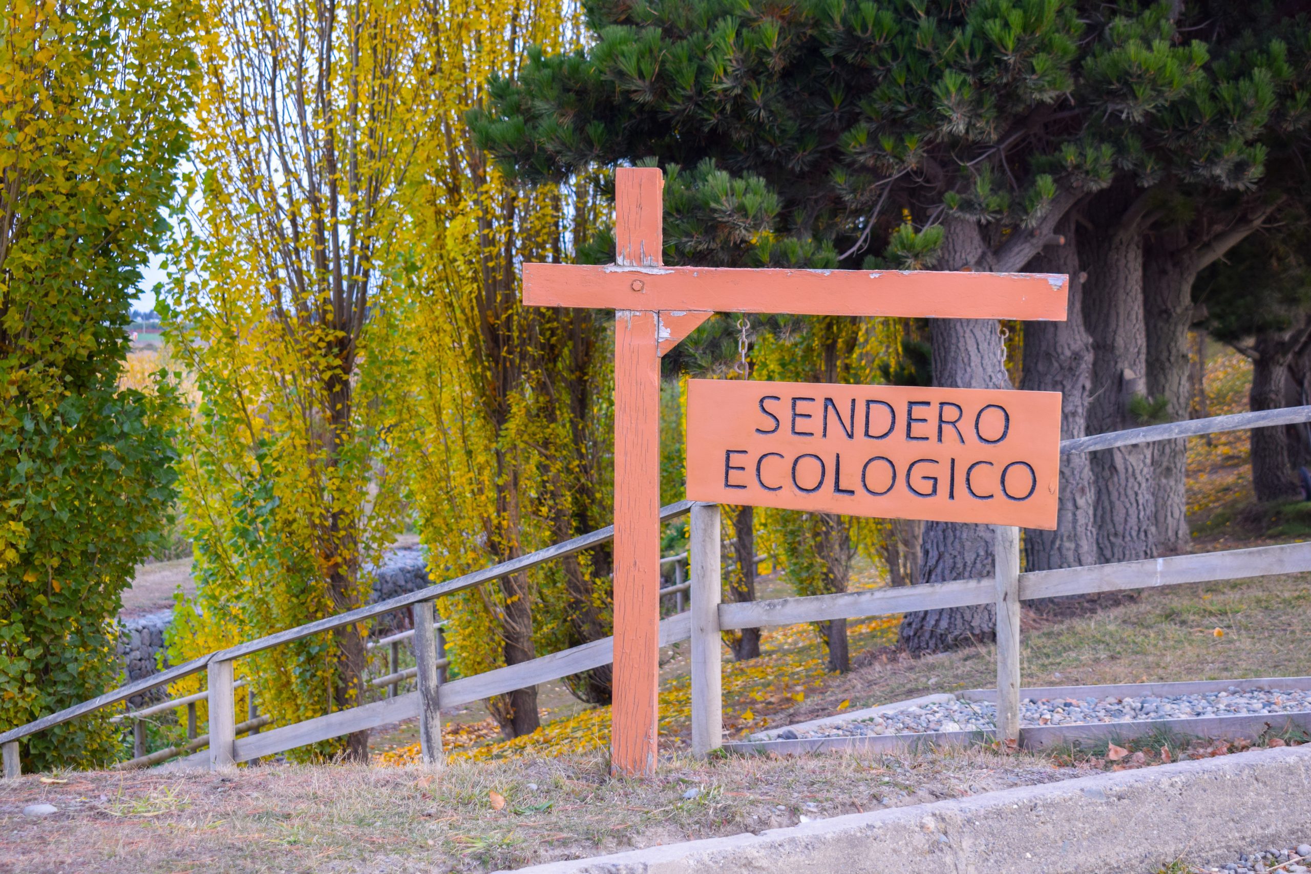 Cementerio_cruzdefroward-05