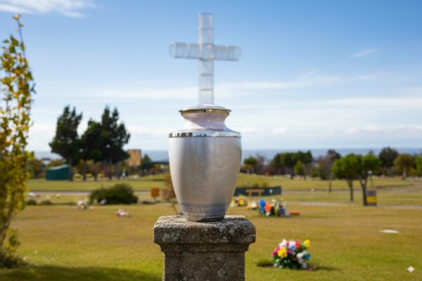 Palomas de Plata